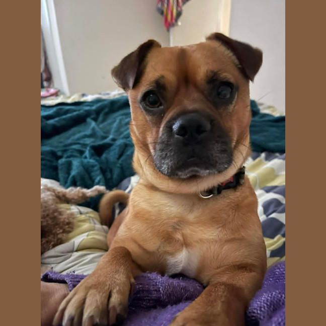 Photo of Doug 