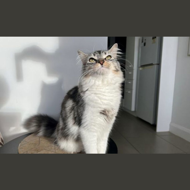 Photo of Evie