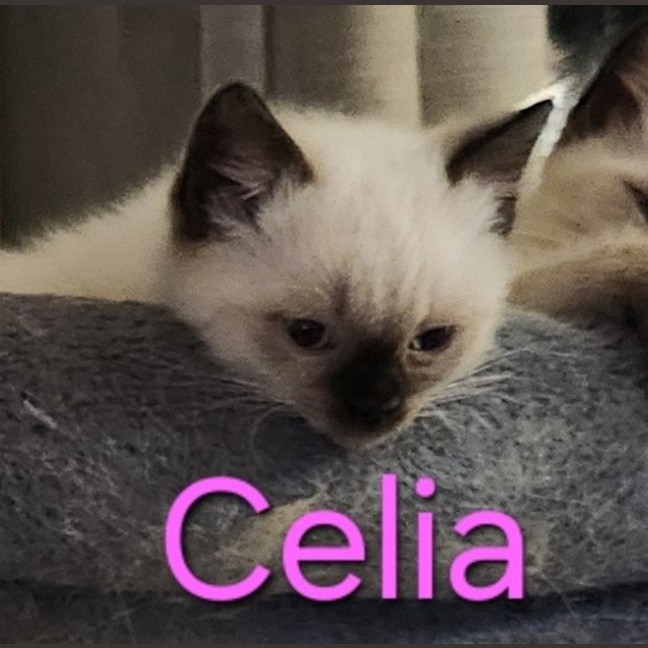Photo of Celia