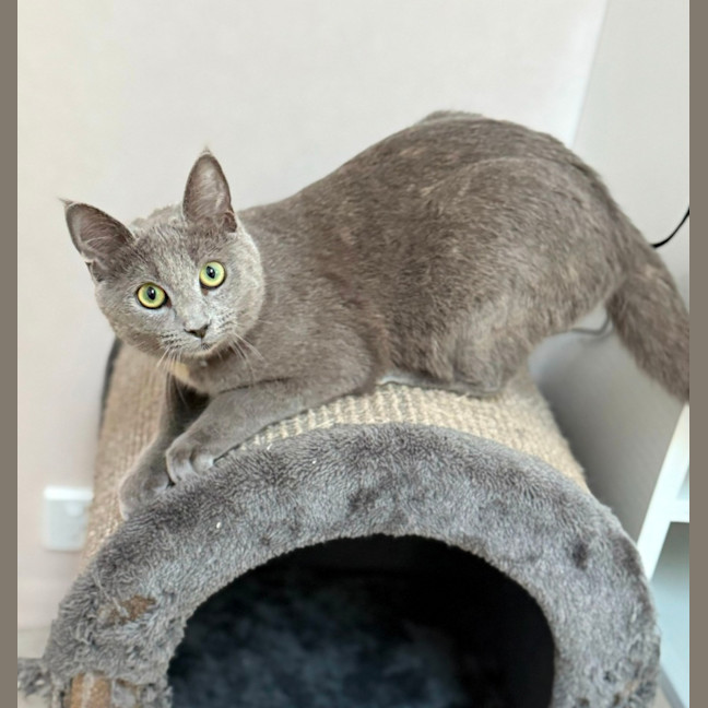 Photo of Terri (9238)