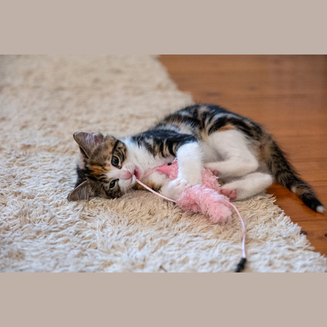 Photo of Zoe