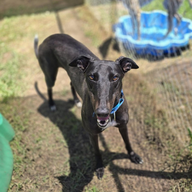 Photo of Shadow Moon