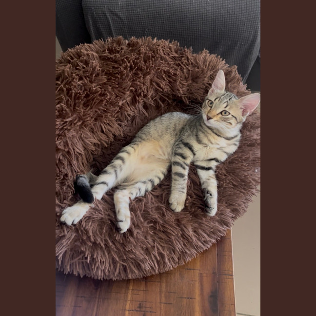 Photo of Xyla