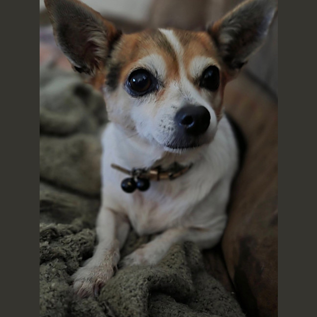 Photo of Rita