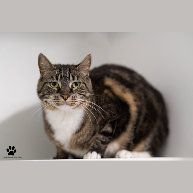Photo of Laverne
