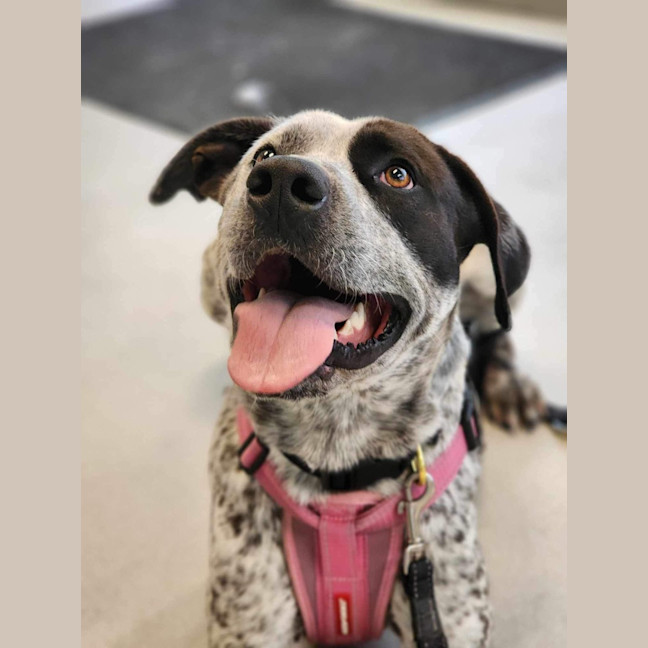 Photo of 🥑 Kevin 5463 🥑