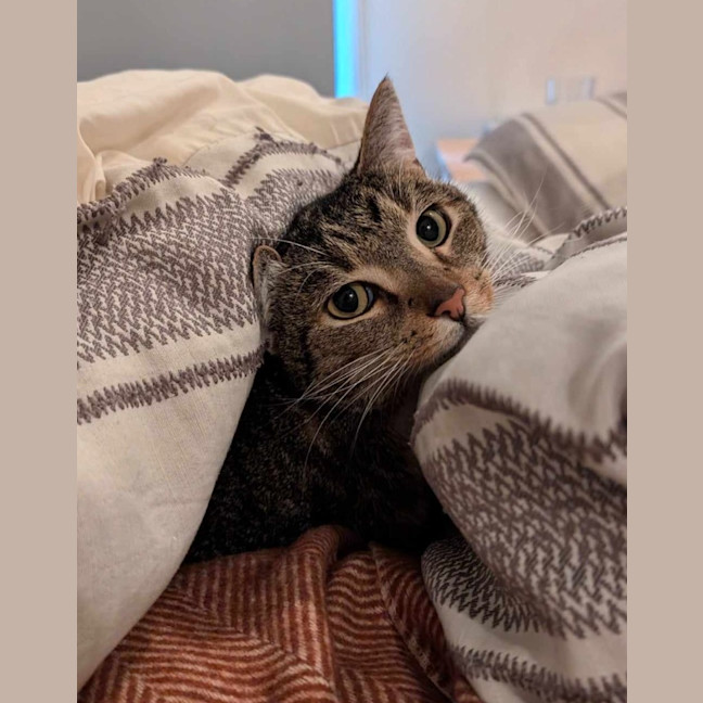 Photo of Monty
