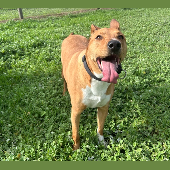 Photo of Duke