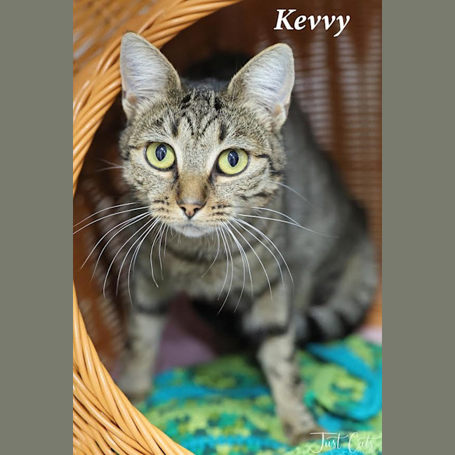 Photo of Kevvy   Burnie