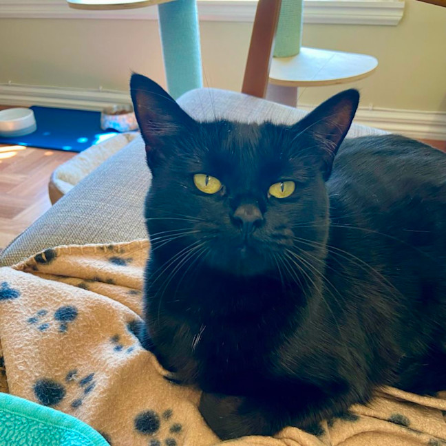 Photo of Jet   Located In Reservoir