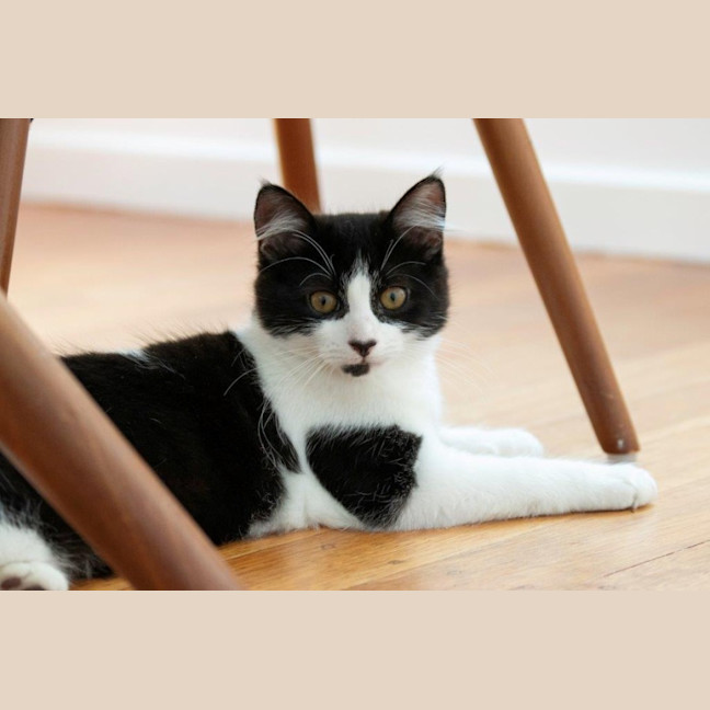 Photo of Gretel Moriarty