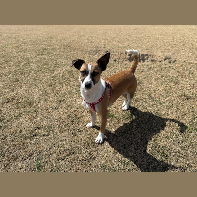 Photo of Lillie Uffelman