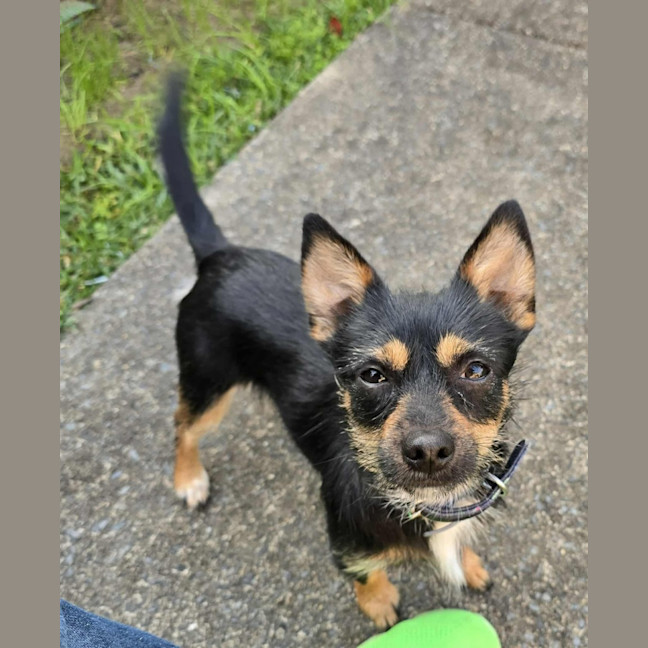 Photo of Ernie (8988)