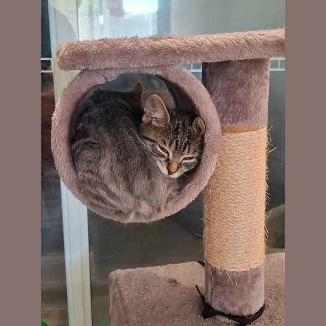 Photo of Boots