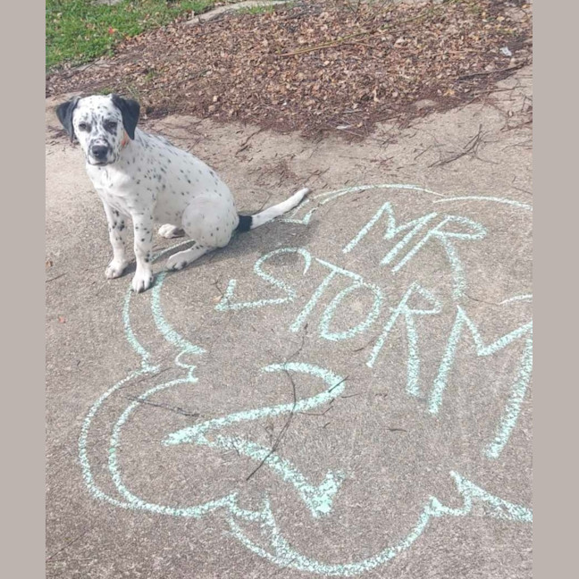Photo of Storm