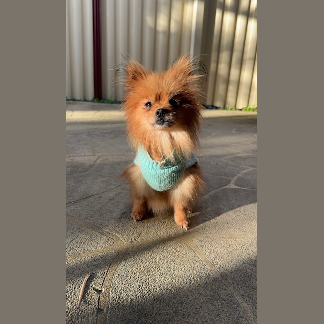 Photo of Pinky