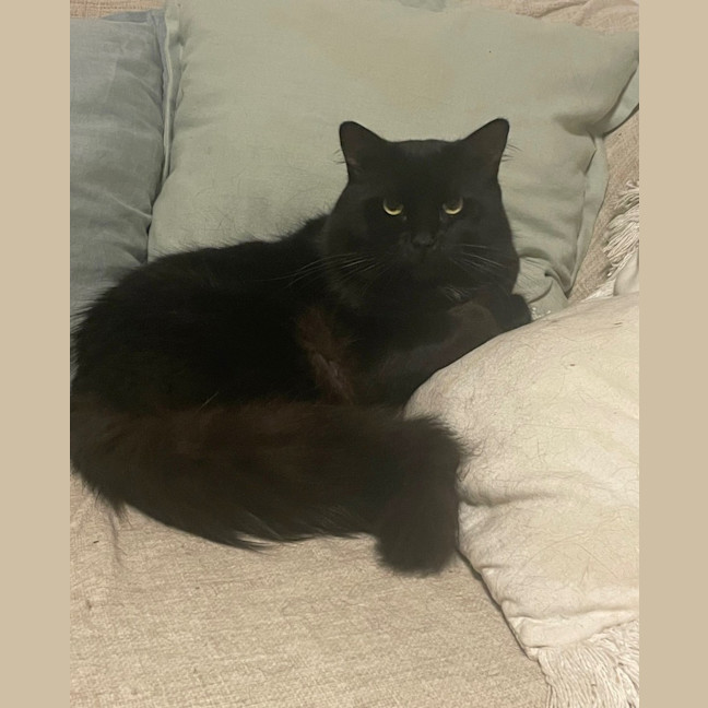 Photo of Douglas (9193)