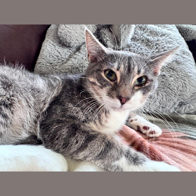 Photo of Binx