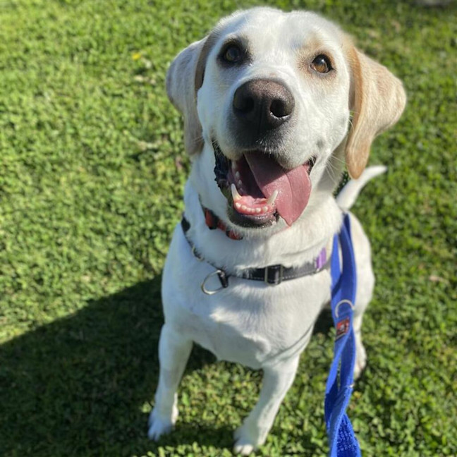Photo of Bruce