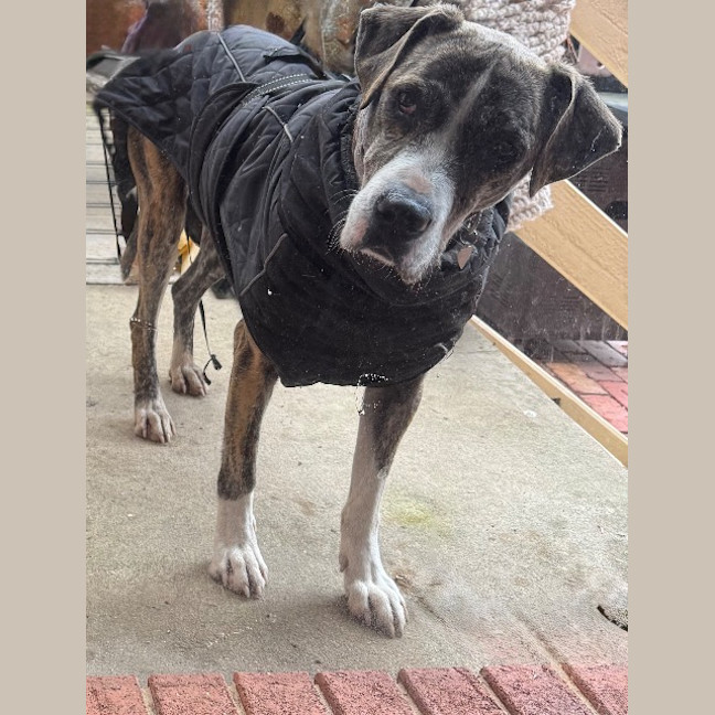 Photo of Duke