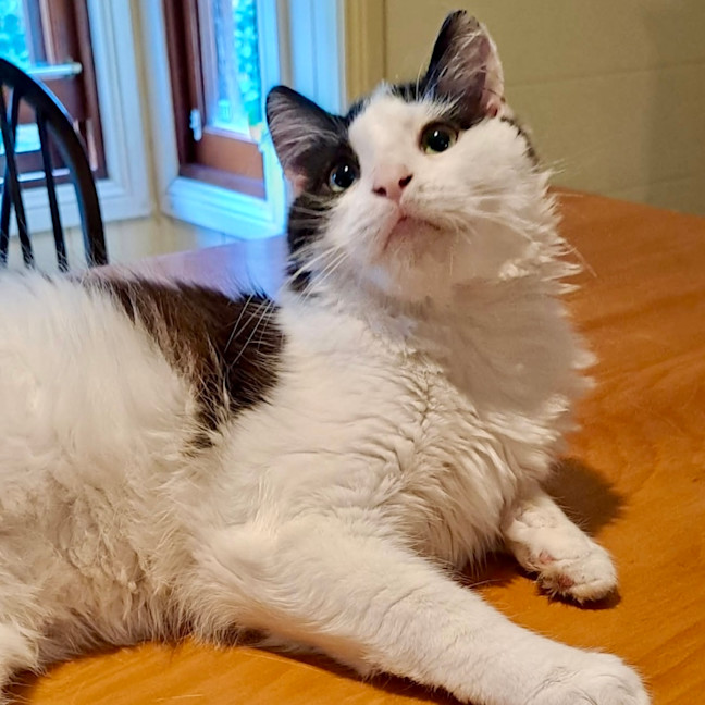 Photo of Alistair