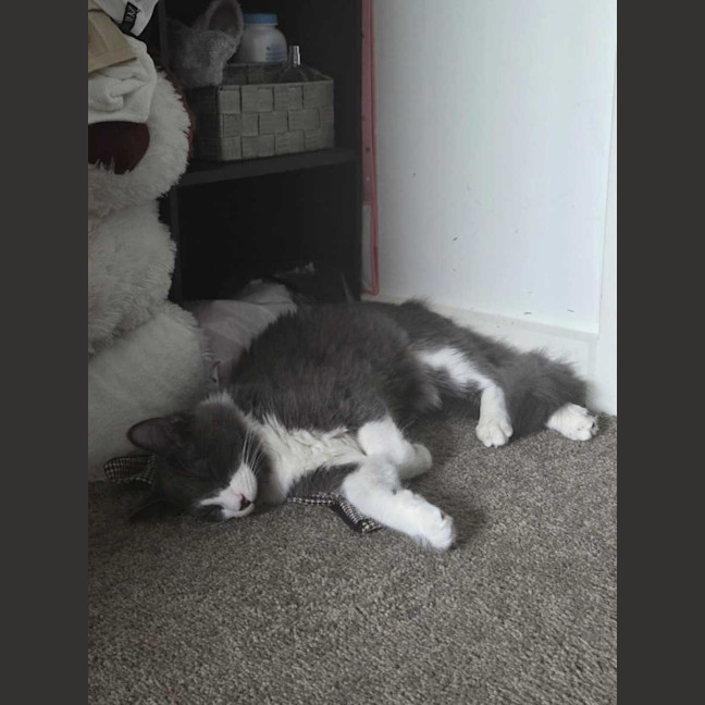 Photo of Yuki