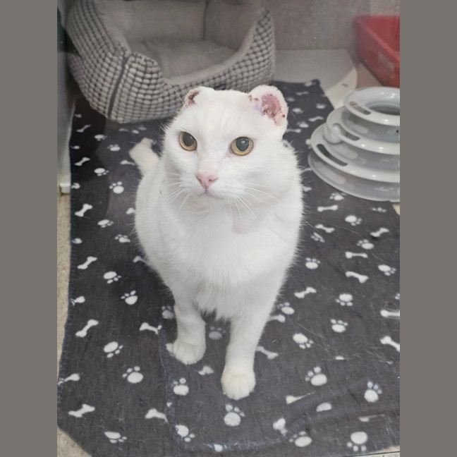 Photo of Rayanne Gunna