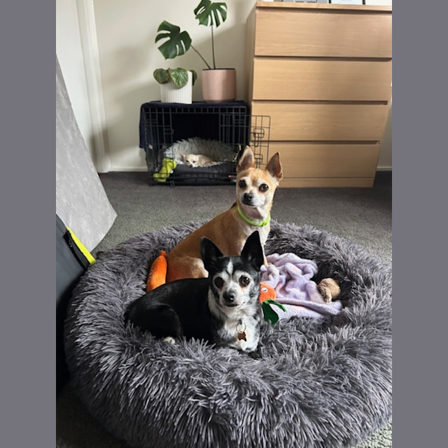 Photo of Bonnie Parker & Clyde Barrow