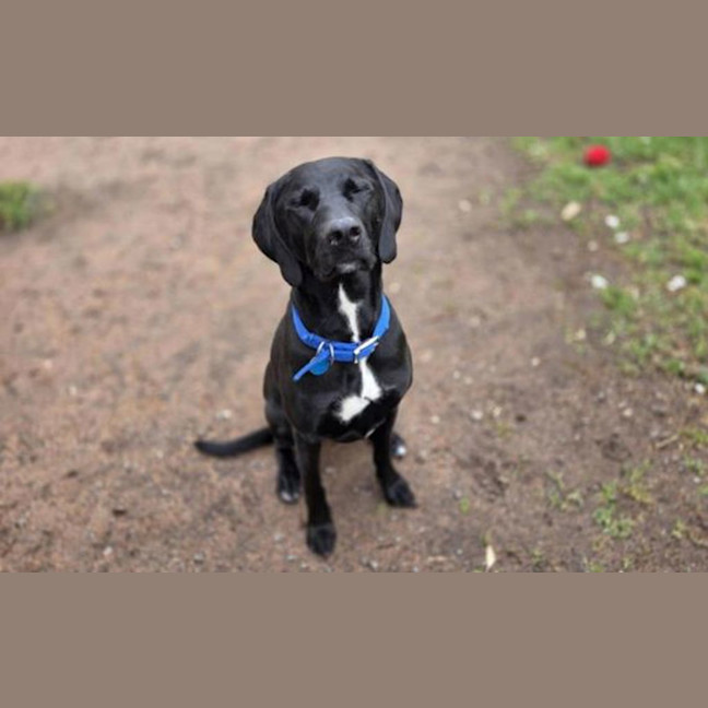 Photo of Herbie