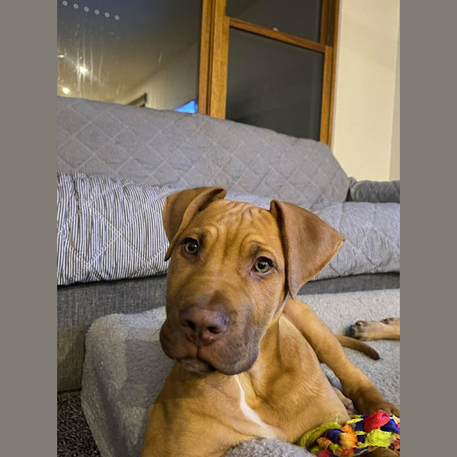 Photo of Leroy