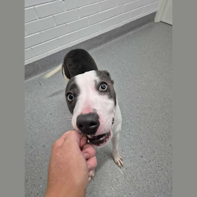 Photo of Zippy! 🪀