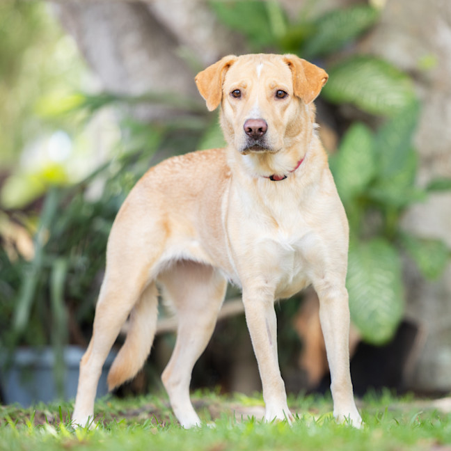 Photo of Sunni (Previously Queen)