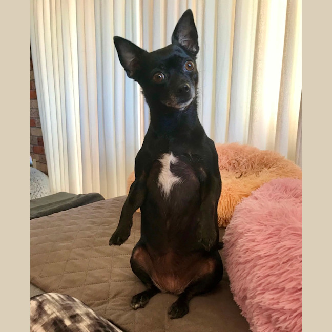 Photo of Milo & Angel