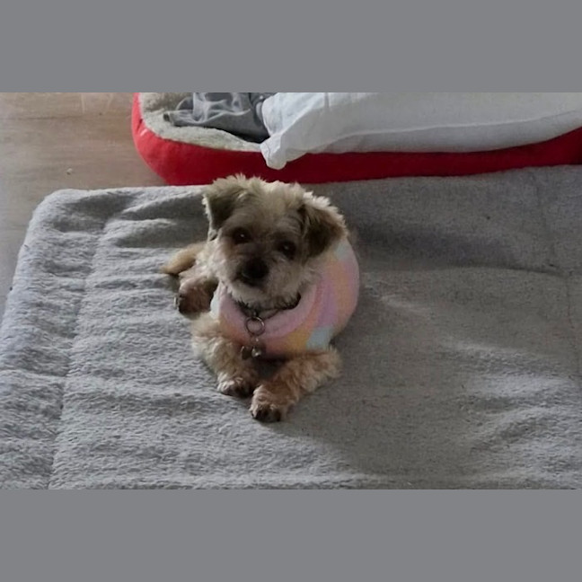 Photo of Darla