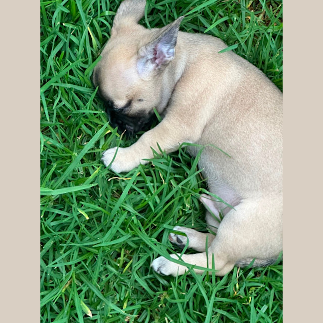 Photo of Kai 🧸