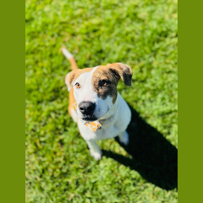 Photo of Addie