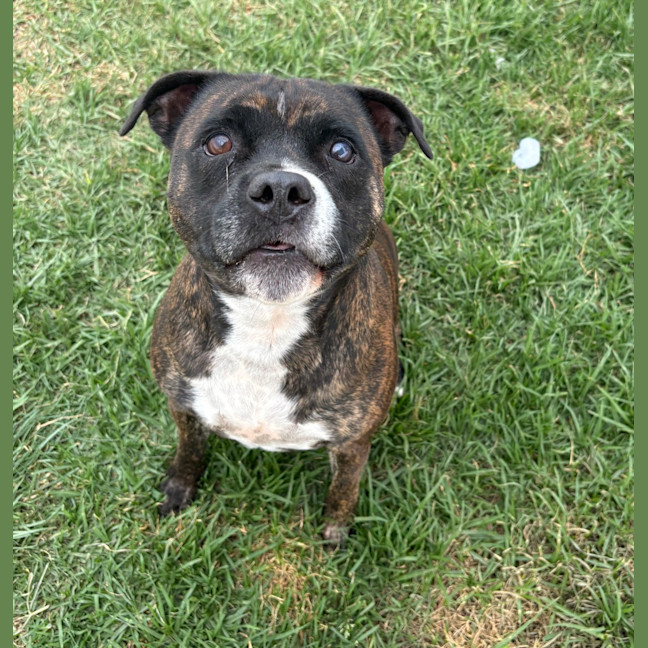 Photo of Lola