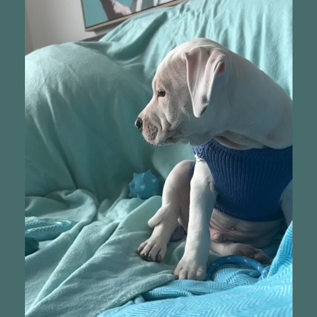 Photo of Cash