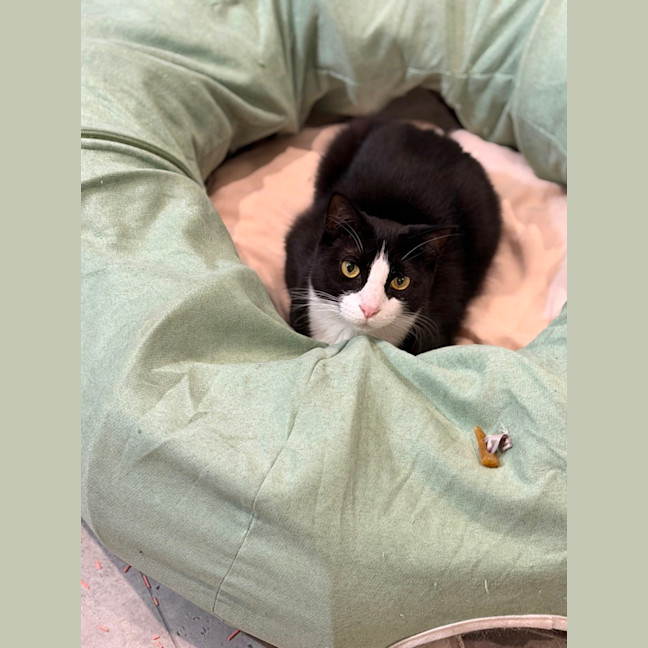 Photo of Fifi