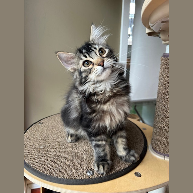 Photo of Jack & Jupiter