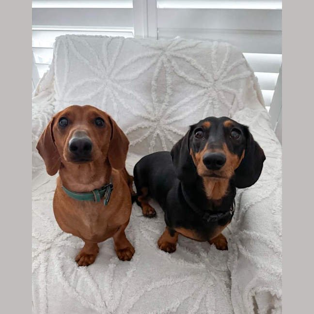 Photo of Joey @ Jenko