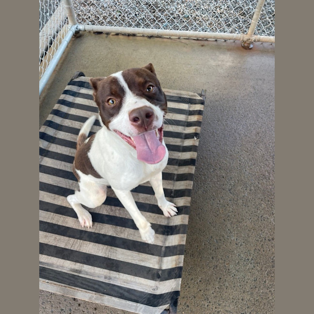 Photo of Penny