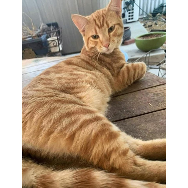 Photo of 10916   Theo