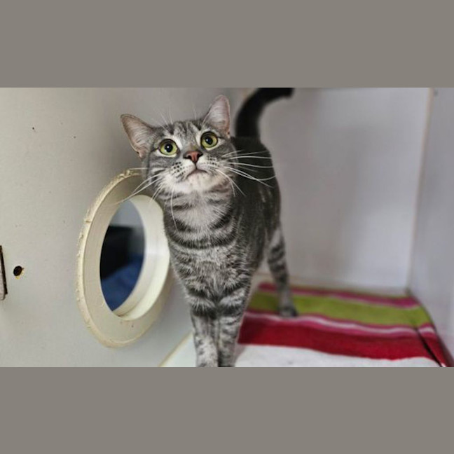 Photo of Mocha