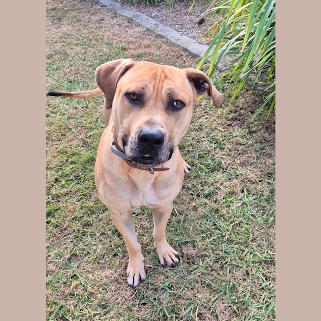 Photo of Tookie (9950)