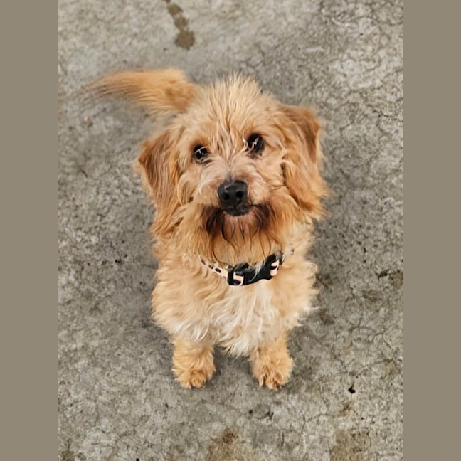 Photo of Coco