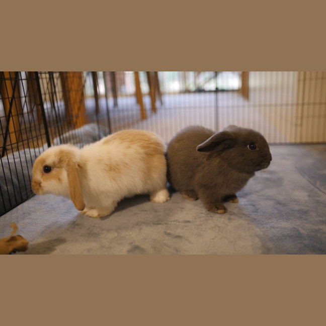 Photo of Hops & Barley