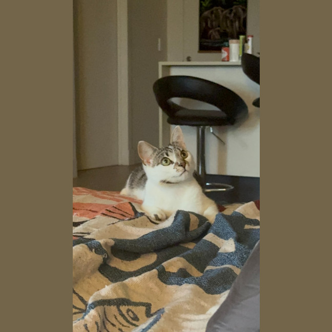 Photo of Nugget Scott