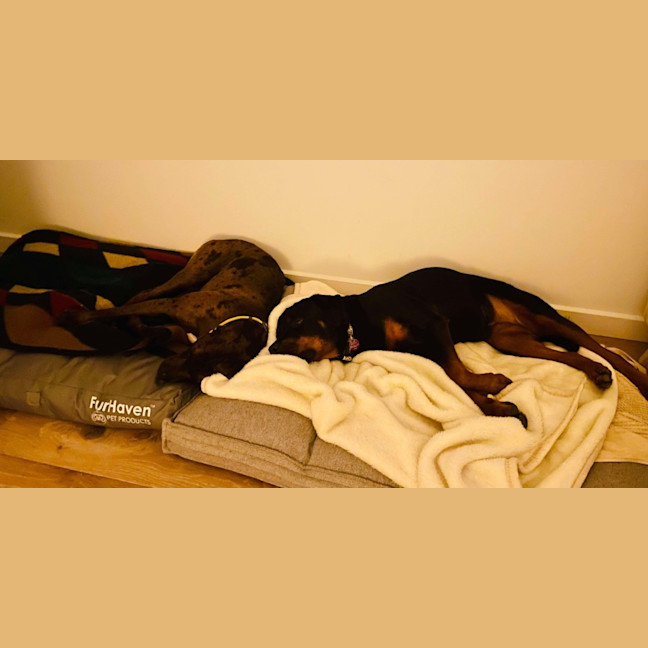 Photo of Uncle Fester