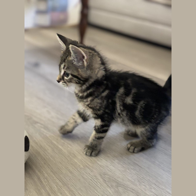 Photo of George   Reviewing Applications